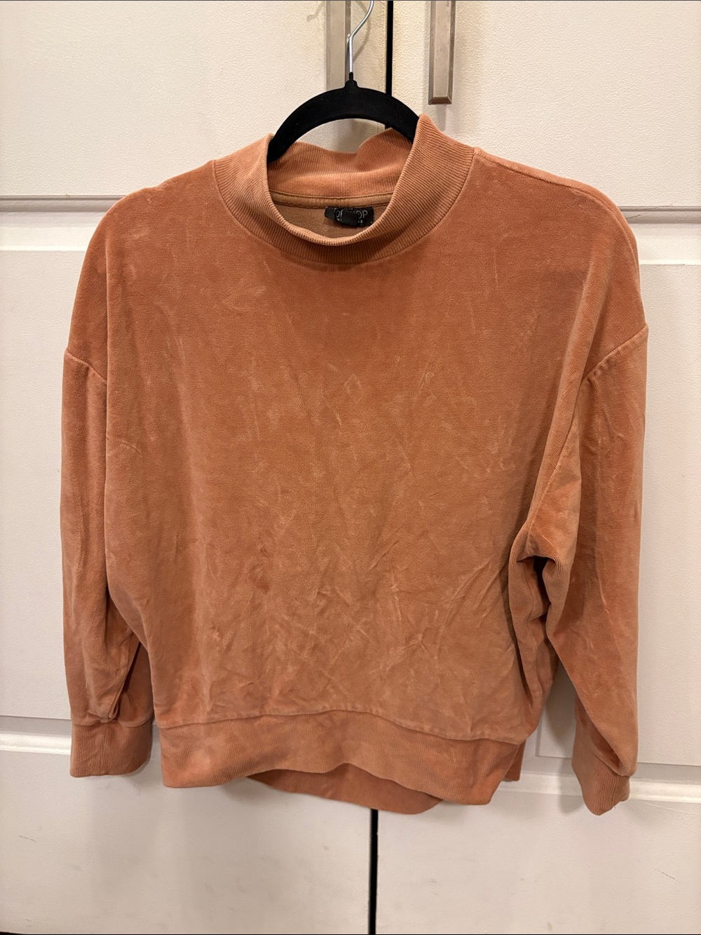 Topshop Petite Velour Mock Neck Pullover